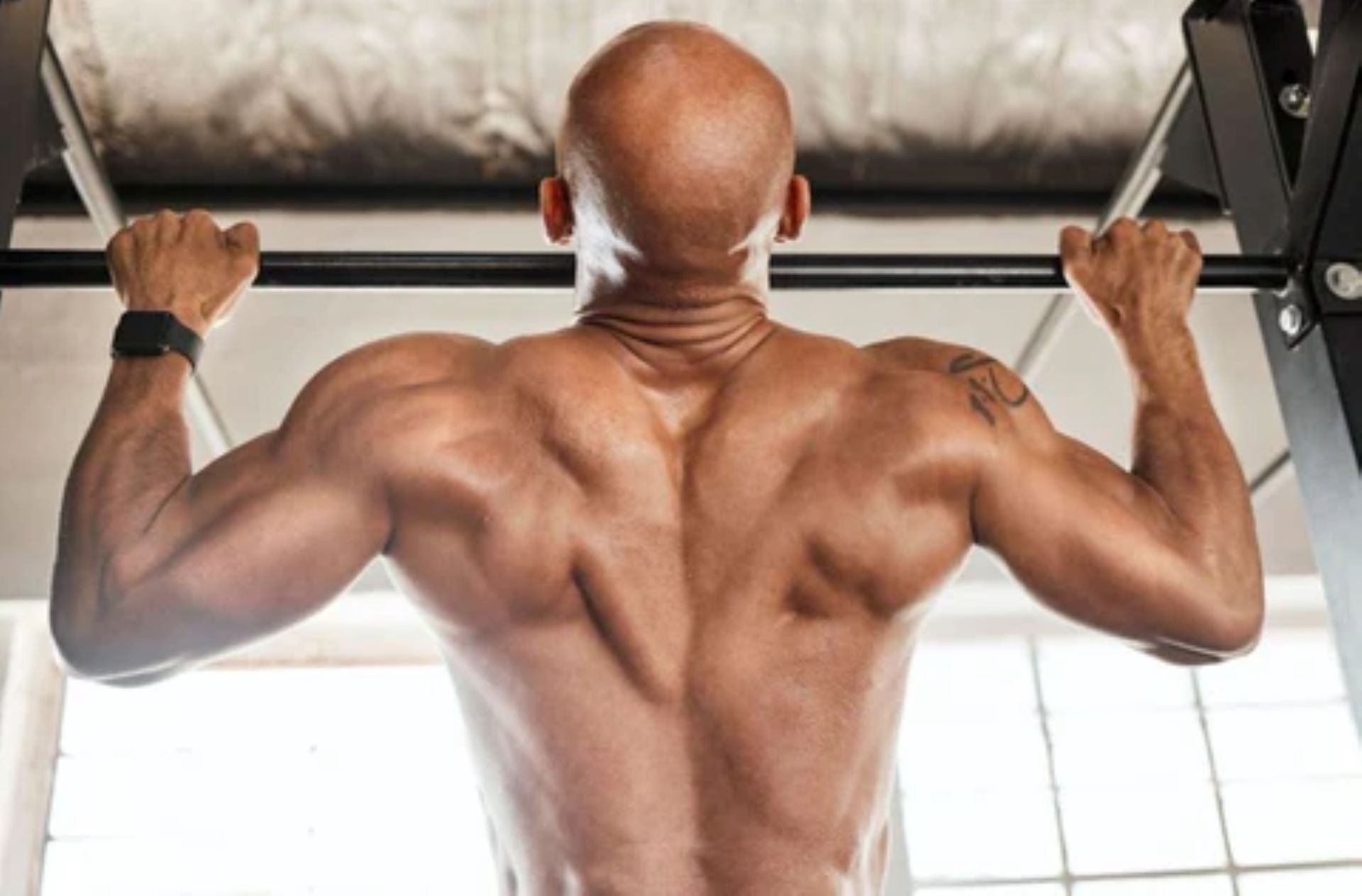 strength training pull-up targeting back muscles in gym workout.