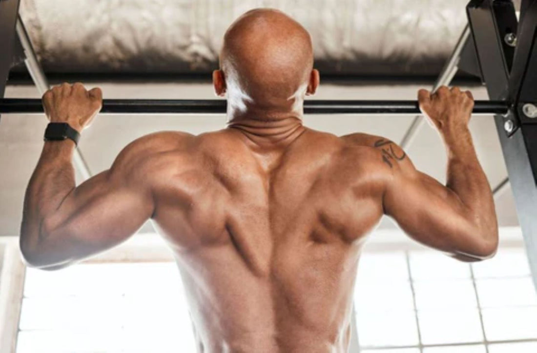 Back muscle-focused pull-up exercise during strength training.